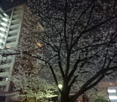 ????からの～二次会・・・