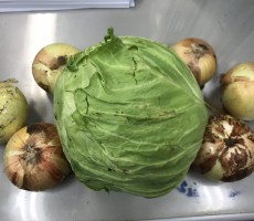 雲仙の野菜。