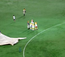 頑張ってる人