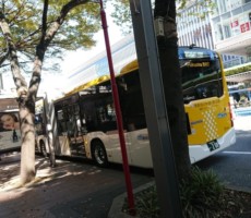 今日もいいお天気♪