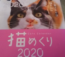 カタチから