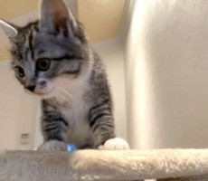 ビビビっ