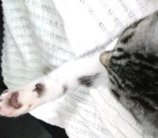 うずまき・すくすくダイヤリー