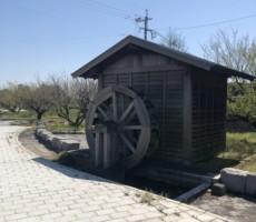 ぽつんと水車小屋