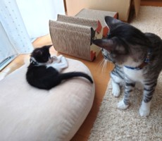 ソーシャルディスタンス・・・時々密