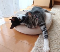 今週も頑張りますよ