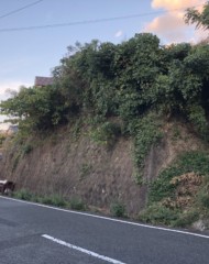 福岡県北九州市小倉北区富野台（土地） 間取り図