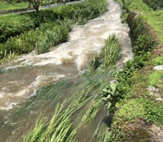 大雨のち晴れ間そして懐かしの・・・・・