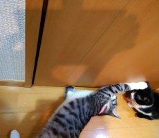 あの頃の僕らはきっと全力で少年だった