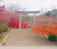 竈門神社