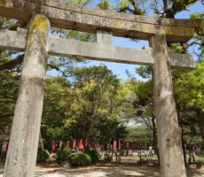 ～北の国から～　五郎と純と蛍とホタルイカ