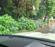 今年二度目の梅雨入り？