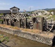 本物の三連水車