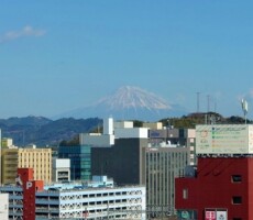 静岡出張🗻