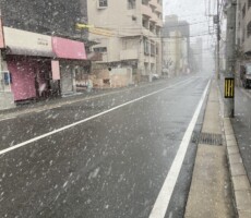 冬景色
