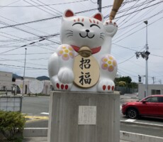 「追い出し猫」さん