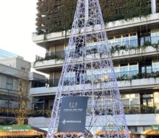 紅葉からのクリスマスマーケット