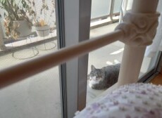暑すぎ