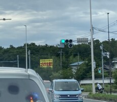 雁ノ巣のゴリラ注意？
