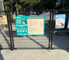 ドックラン