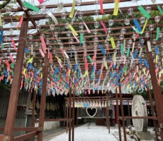 たぬき寺ですが、今は風鈴寺ですか？