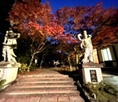 夜の紅葉