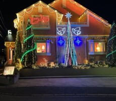 メリークリスマス　気合が入ったイルミ