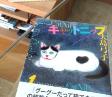 「看取りは集大成」というけれど