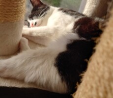 日に日に世界が