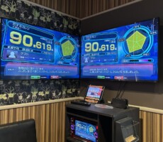 一人カラオケじゃなく二人カラオケ