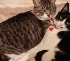 102回目のプロポーズ