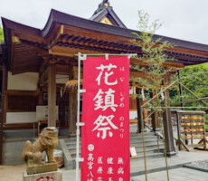 なんじゃもんじゃの花