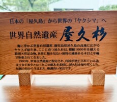 古典木工さんとの温かな御縁