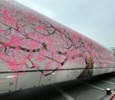 つばめの大冒険