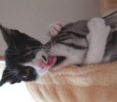 地獄に堕ちるわよ（と言っていたのは細木数子です）