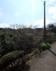 長崎県壱岐市勝本町(土地) 間取り図