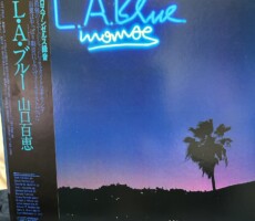 突然のレコードとかわいそうなシーン