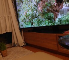 ワイルドライフ　イージーライフ